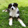 winnifred_theaussie