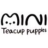 mini_teacup_puppies