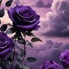 amoona_6767