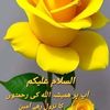 user263623961885