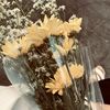 flwrrs__