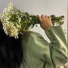 فاتن الشمري 🌸