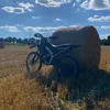 zubrus_616