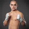 french_krillin