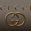 guccigucci609