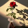 ..drny75