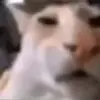 userj6ygpajwgs