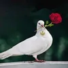 mahdey632