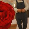 hajer4162