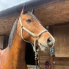 rusty_roo08