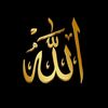 evidmynti_1868