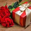 sayeem830
