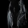black23horse