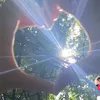nhuy8_6