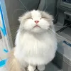 v.mimi_
