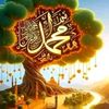 mohammed777.com
