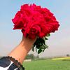 raisu_77