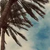 أعـلام الضــــد