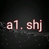 a1.shj