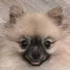 user3ladfxu7h2