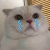 xoatatca16.07