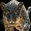 hamza_zino