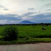 calon.mantu.idaman3