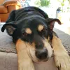 carmen777
