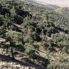 fouzirouissi