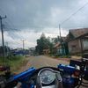 ronayi87