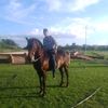 williamjackson517