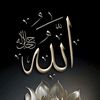 nasserabdel5