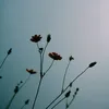 user9rm2jtnwxt