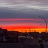ggmacc_yyc