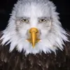davevbpy9ae