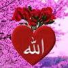 user4568096455439