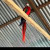 jared_3666