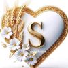 user8138619531844