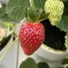 لا حول ولا قوة الا بالله🍓🇸🇦