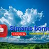 simanis borneo