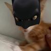 nathan_maken1