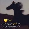 mehla2.0