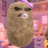 krzndelyaawwwhy