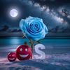 sumikriyad655
