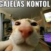 wowkwowkwow2