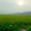 userzgxmggd94r