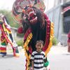 davaarya15
