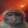 isoplem