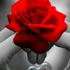 azizakhonim_76