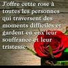 user4433622887727